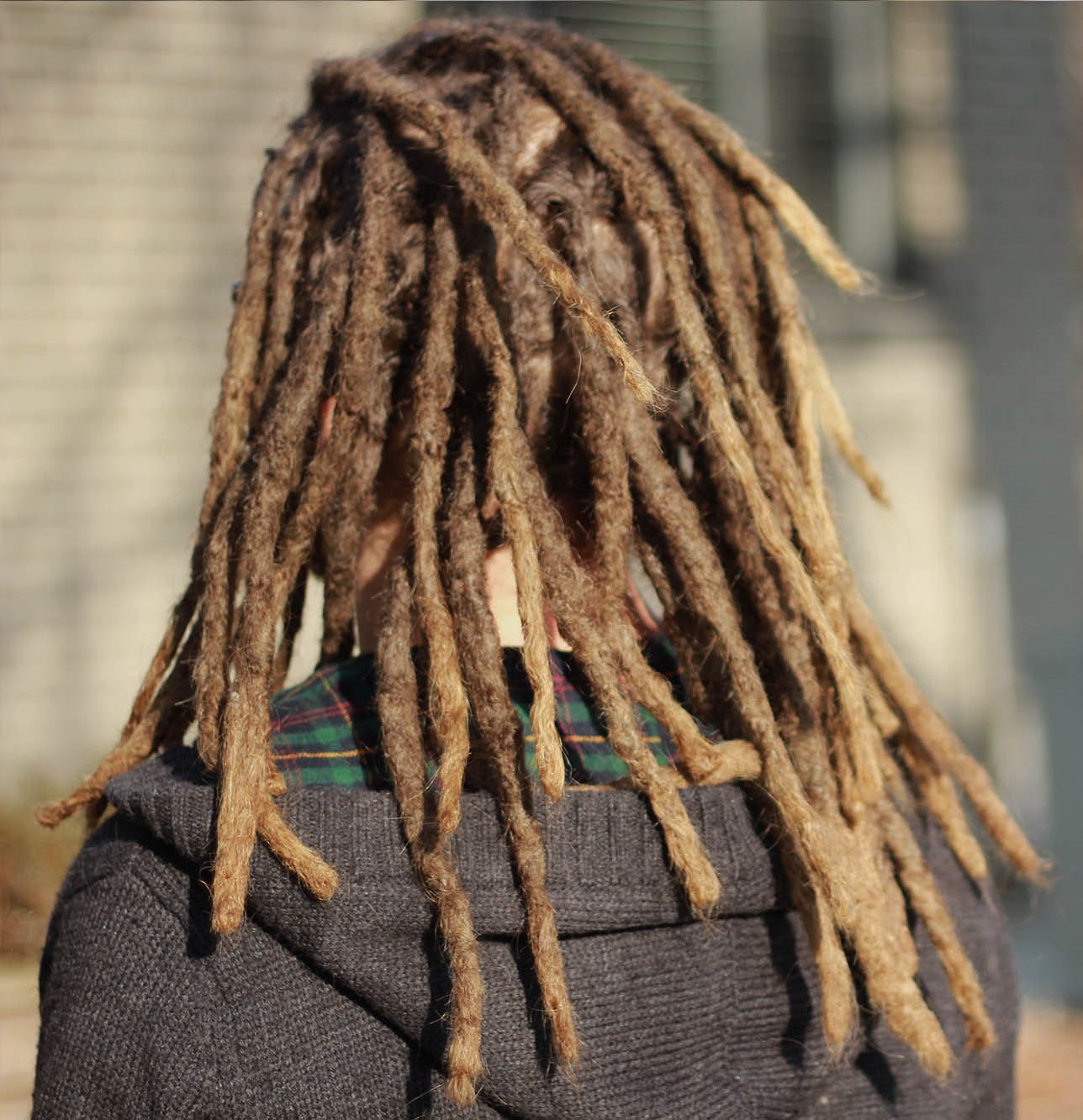 Dreadlocks back