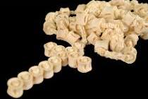 rosario-de-vertebras-de-pescado