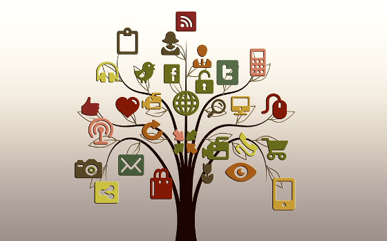 arbolito-40341-redes