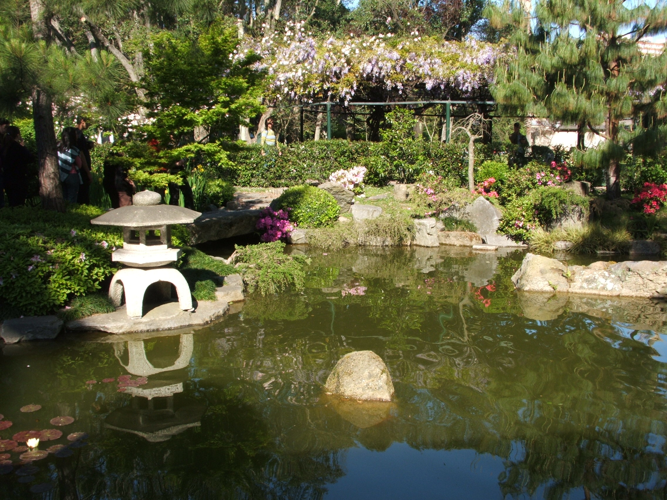 Linterna_japonesa_MVD